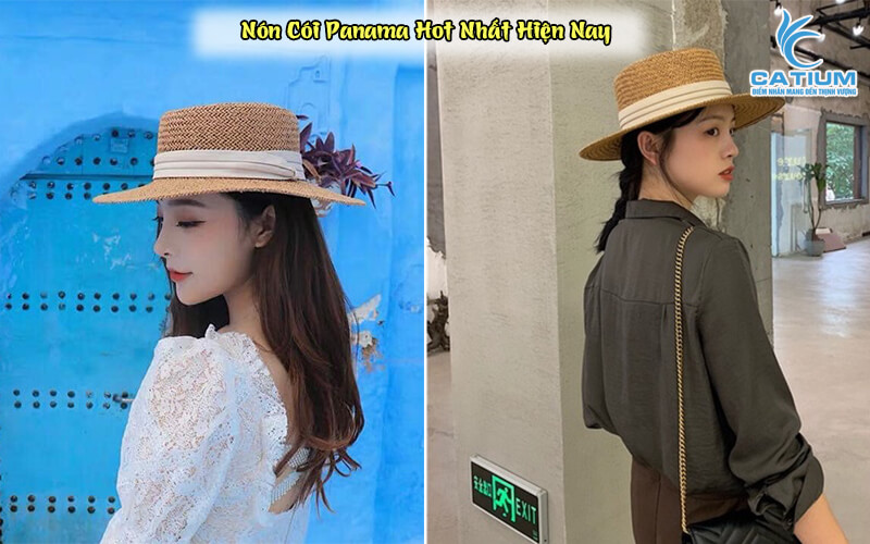 Nón cói panama