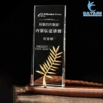 Kỷ Niệm Chương Pha Lê Khối Chữ Nhật