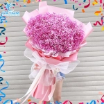 Hoa Baby Hồng HS09