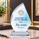 Kỷ Niệm Chương Thủy Tinh Đồng Hồ