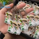Móc Khóa Mica Theo Yêu Cầu