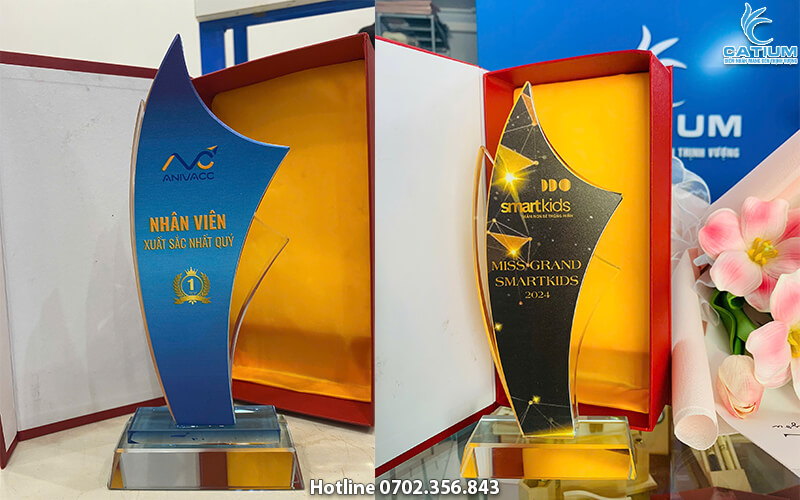 Biểu trưng pha lê 2 lớp