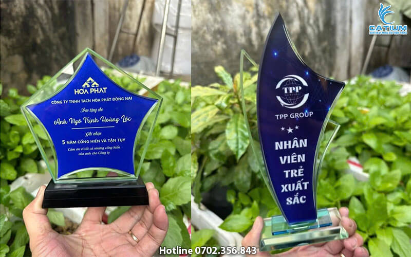 Kỷ niệm chương mẫu mới