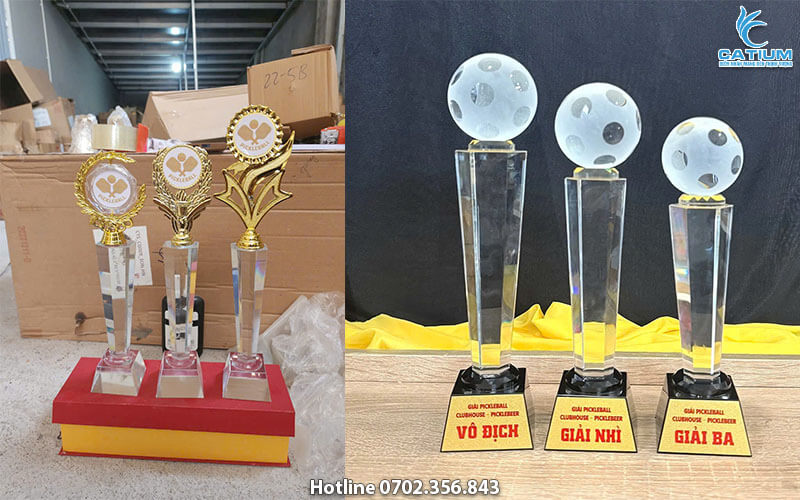 Kỷ niệm chương pickle ball