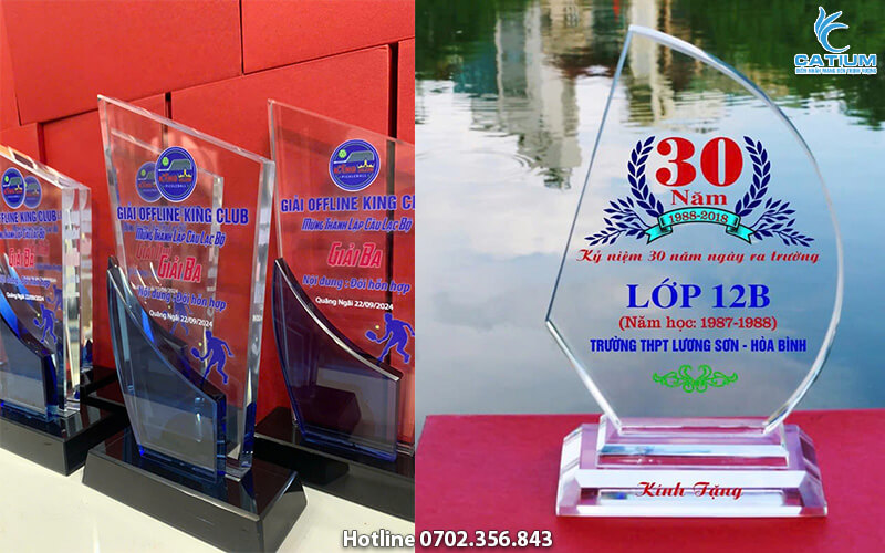 Sản xuất cúp theo yêu cầu