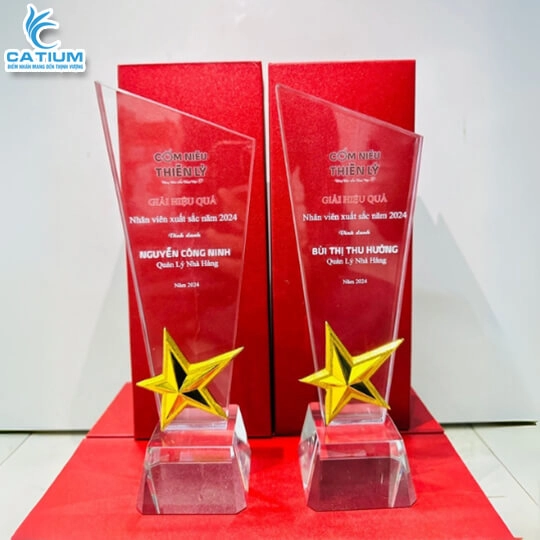 Cúp Pha Lê Ngôi Sao Cao Cấp