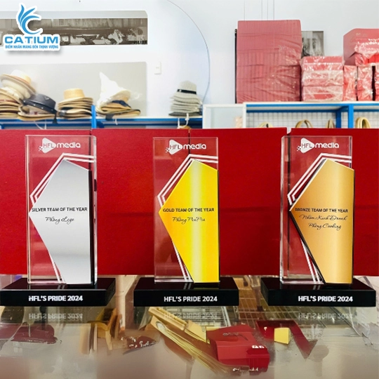 Kỷ Niệm Chương Vinh Danh Đứng Đôi