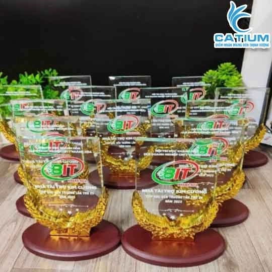 Kỷ Niệm Chương Pha Lê Đế Gỗ