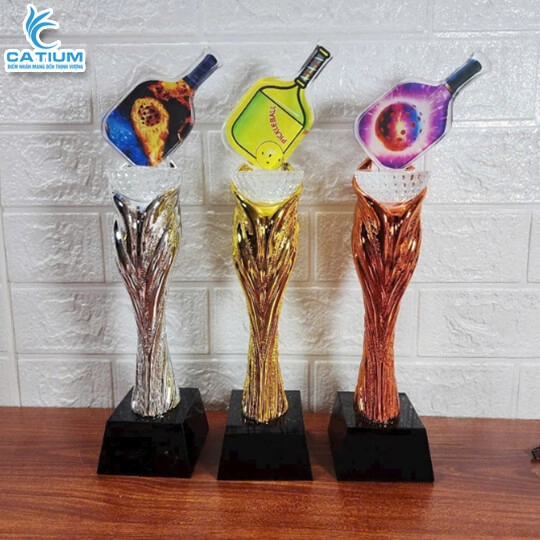 Kỷ Niệm Chương Pickleball