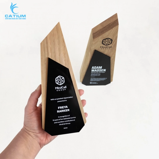 Cúp Vinh Danh Mica Đế Gỗ