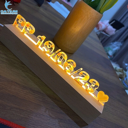 Đèn Led Hoa Khô Khắc Chữ