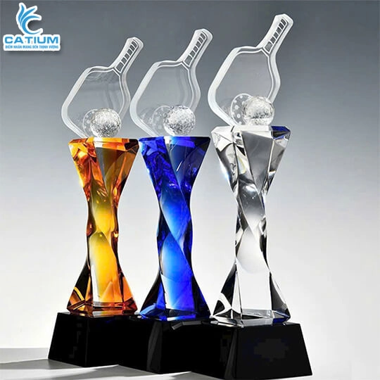 Kỷ Niệm Chương Pickleball