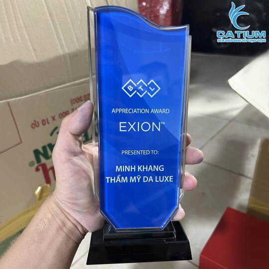 Kỷ Niệm Chương Chữ Nhật Lượn Sóng