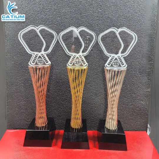 Kỷ Niệm Chương Pickleball