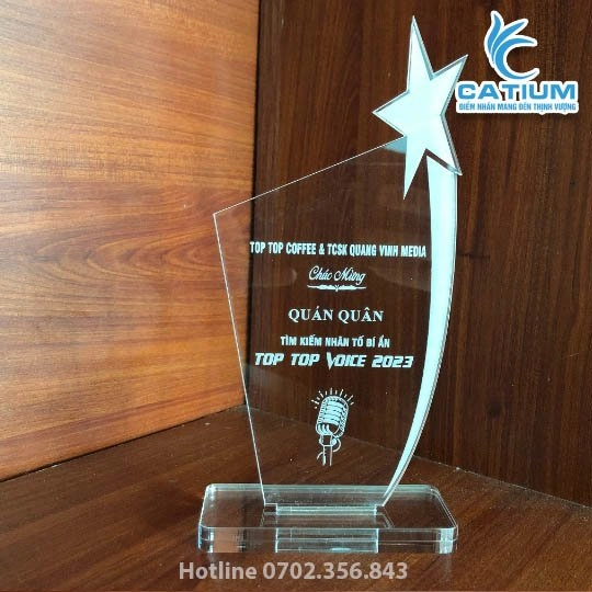 Kỷ Niệm Chương Cuộc Thi Ngôi Sao