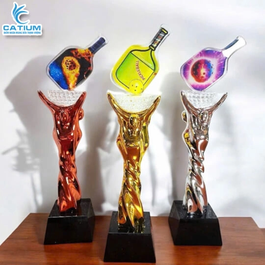 Kỷ Niệm Chương Pickleball